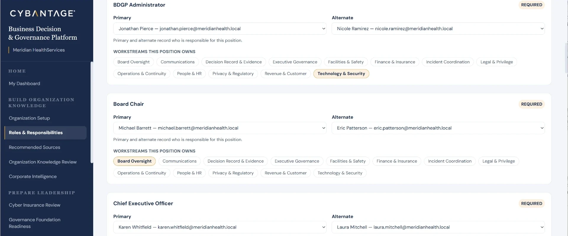 Cybantage Roles and Responsibilities screen showing primary and alternate holders and owned workstreams